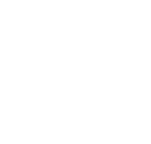 VitalPerformance Logos Full Lockup White Small 1